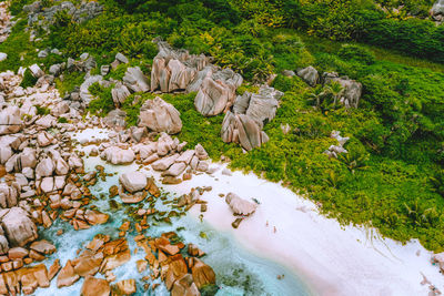 High angle view of rocks amidst trees