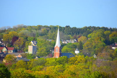 Panoramic view of trees and plants against sky