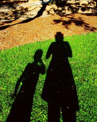 High angle view of man standing on grassy field