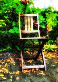 Plants and trees in park