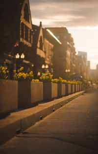 Street lights in city against sky during sunset