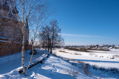 Bare trees on snow covered field against blue sky