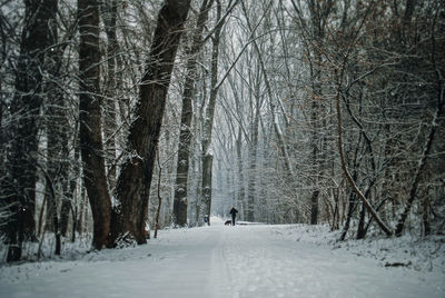 Snow covered road passing through forest