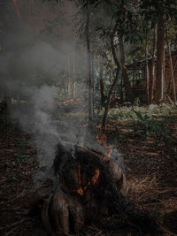 High angle view of bonfire by trees in forest