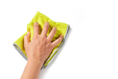 Close-up of hand holding leaf over white background