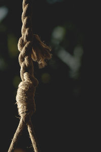 Close-up of rope tied up on metal