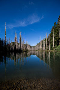 Scenic view of lake against blue sky