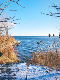 Scenic view of sea against clear sky