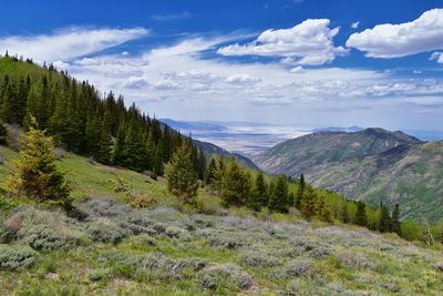 Rocky mountain wasatch front butterfield canyon oquirrh mountains utah, united states.