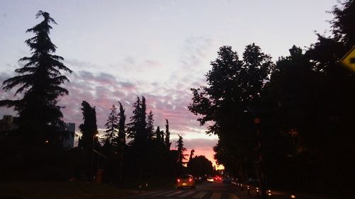 Silhouette trees against sky at sunset