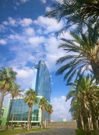 Low angle view of palm trees against sky