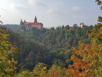 Plants and trees by building against sky during autumn