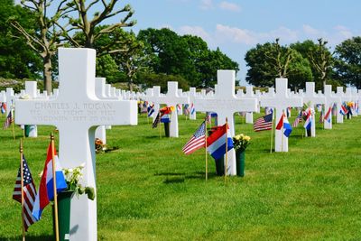 Row of flags on field against sky