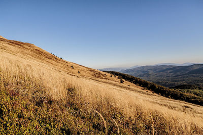 Scenic view of field against clear blue sky