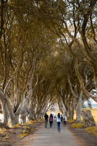 Rear view of people walking on road along trees