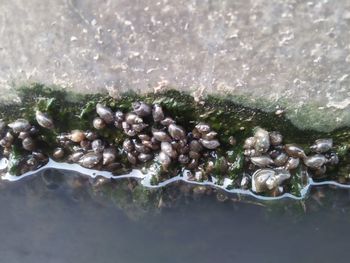 High angle view of rocks in sea