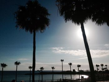 Silhouette palm trees on beach against sky during sunset