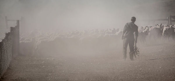 Rear view of people walking on road