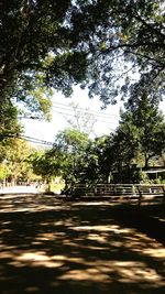 Empty road amidst trees against sky