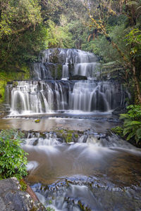 Scenic view of waterfall in forest