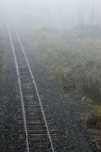 High angle view of railroad tracks by trees