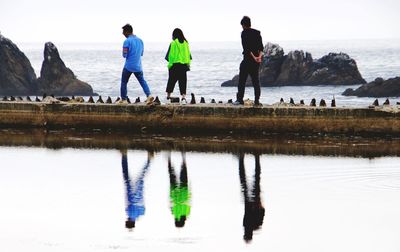 Rear view of people standing on beach against clear sky