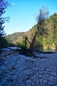 Scenic view of landscape against clear sky