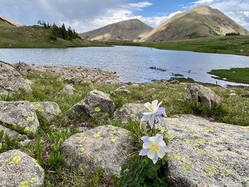 Scenic view of lake and mountains against sky