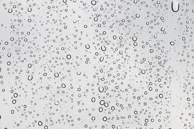 Water drops on rainy day