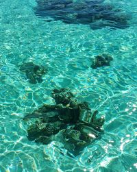 Full frame shot of water