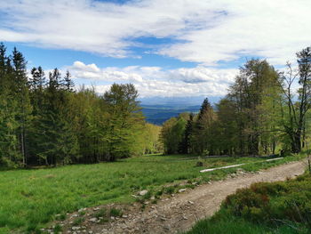 Scenic view of landscape against sky