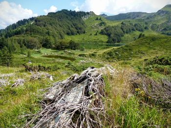 Scenic view of green landscape against sky