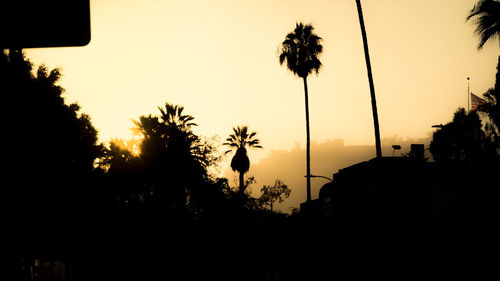 Silhouette palm trees against sky during sunset