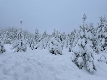 Trees on snow covered field against sky