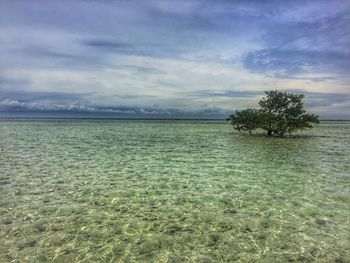 Scenic view of sea against sky