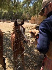 Man holding dog by horse at zoo