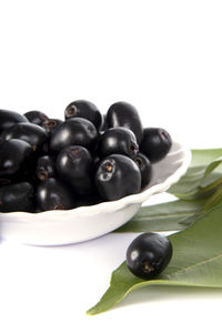 Close-up of black berries on white background