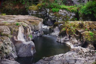 Scenic view of waterfall in forest