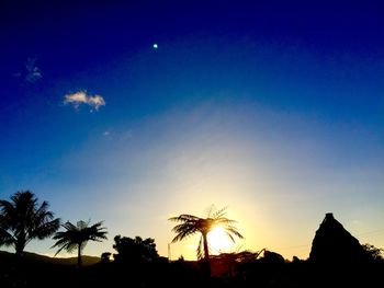Low angle view of palm trees against sky
