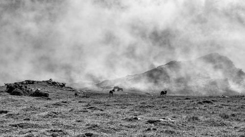 Panoramic view of people on field against sky