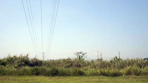 Scenic view of field against clear sky