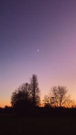 Silhouette bare trees on field against sky at night