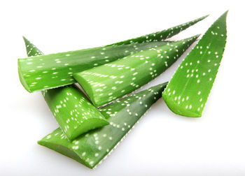 Aloe vera leaves