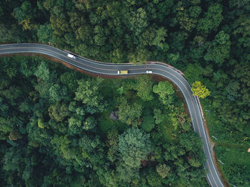 High angle view of road amidst trees in forest