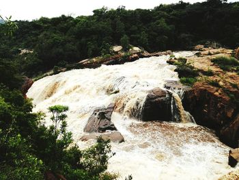 Scenic view of waterfall in forest