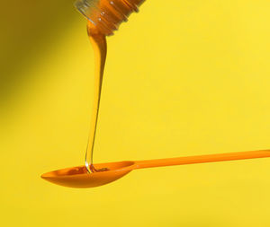 Close-up of yellow leaf against white background