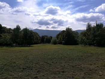 Scenic view of field against sky