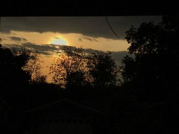 Silhouette trees against sky during sunset