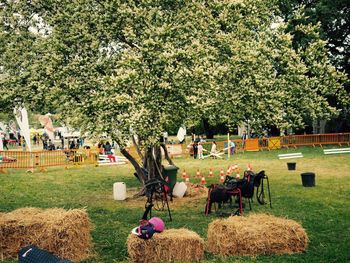 Hay by trees against people at park