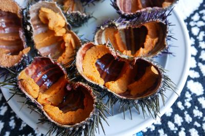 High angle view of sea urchins in plate